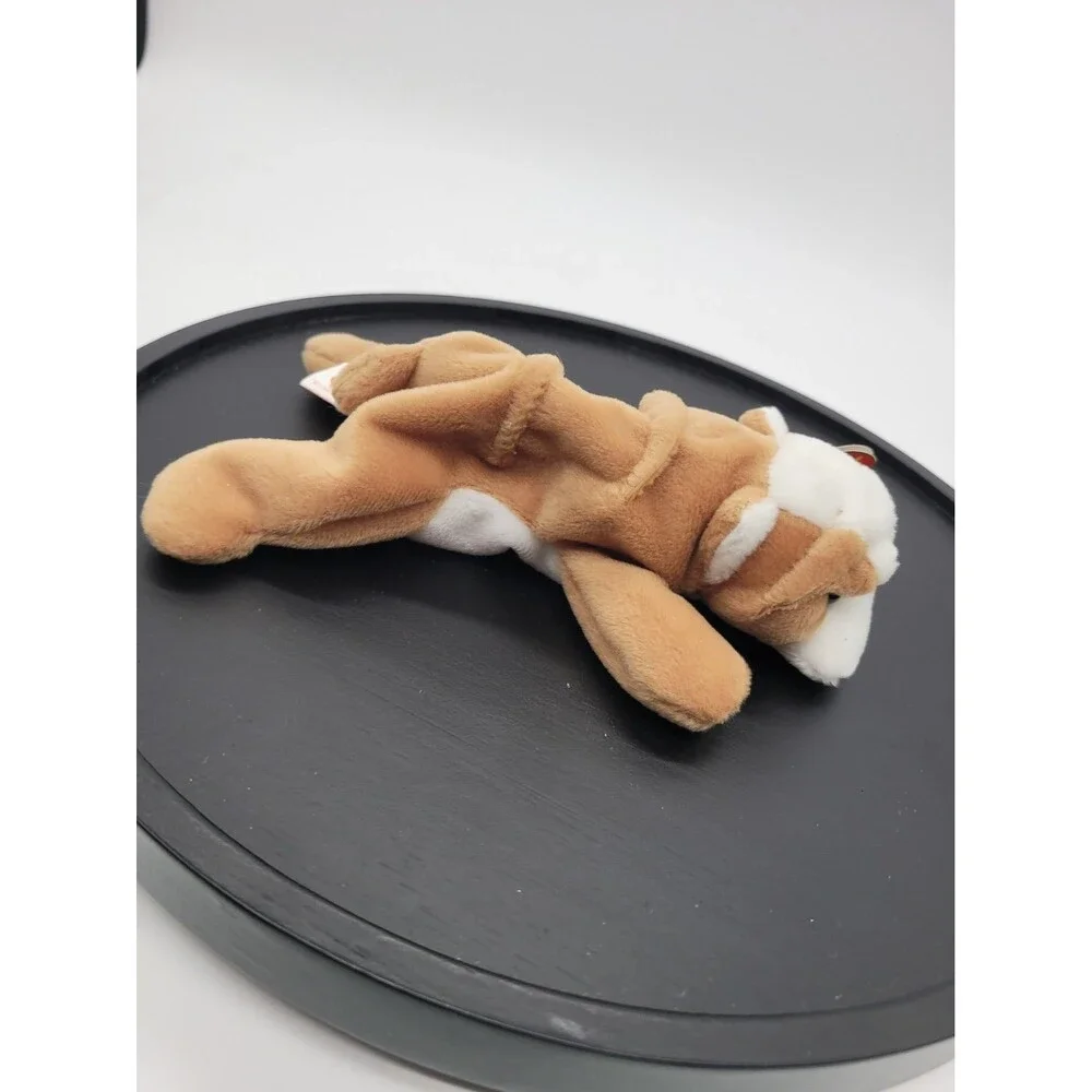 1996 Ty Beanie Baby WRINKLES the Bull Dog 8 Inch NEW Plush Stuffed Animal Toy